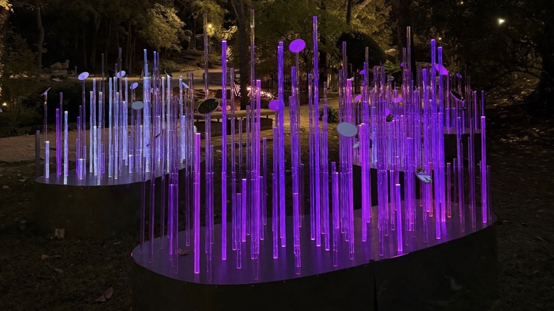 AIA Austin Impact Report